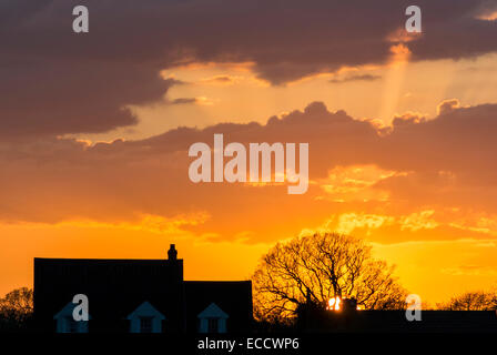 Maison et arbre dans le coucher du Soleil avec coucher de soleil Banque D'Images