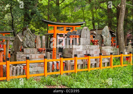Un millier de portes rouges de torii bordent le flanc de la montagne à Fushimi Inari-taisha, Kyoto, Japon. C'est le principal sanctuaire d'Inari, dieu du riz et des renards Banque D'Images