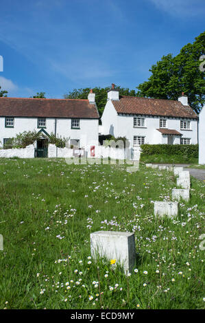 Cottages blanchis dans Penrice Village sur la péninsule de Gower Wales Banque D'Images