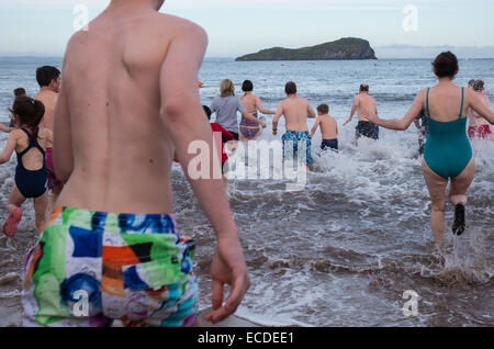 Loony Dook, 1er janvier, North Berwick, East Lothian Banque D'Images