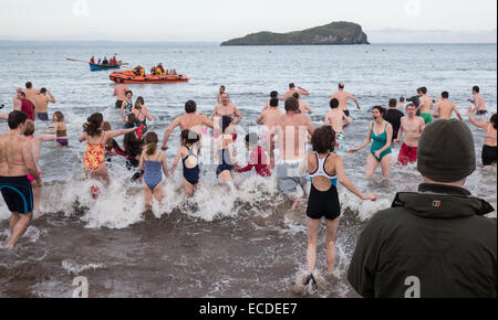 Loony Dook, 1er janvier, North Berwick, East Lothian Banque D'Images