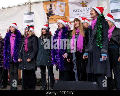 Moor Harmonie Mesdames Barbershop Chorus au festival de Noël de Padstow, Cornwall, UK Banque D'Images