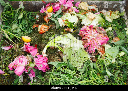 Bac à compost dans le jardin. Tas de compost pourrir les restes de fruits et légumes cuisine Banque D'Images