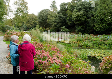 Les visiteurs admirer les premières couleurs d'automne à Trebah Gardens près de Mawnan Smith à Cornwall, UK Banque D'Images