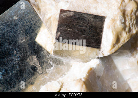 La pyrite de fer ou l'or des fous les cristaux. Les cristaux cubiques sur la roche hôte. Origine inconnue. Banque D'Images