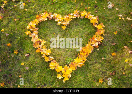 Les feuilles d'automne jaune d'herbe en forme de coeur d'en haut Banque D'Images