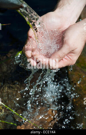 Human hand holding de l'eau dans les mains Banque D'Images