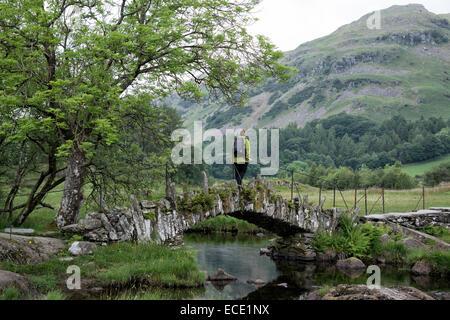 Pauses randonneur sur Slater Pont pour admirer la vue sur d'Limgmoor est tombé en peu dans le Langdale de Lake District. Banque D'Images