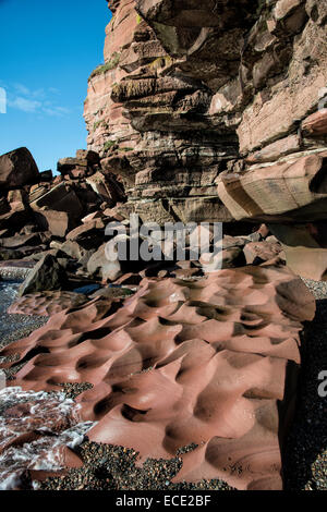 Formation de grès rouge inhabituelle sur la plage de galets à Fleswick Bay près de St Bees dans Cumbria dans le nord-ouest de l'Angleterre Banque D'Images