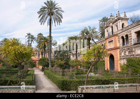 Voir d'Alcazar palace, Séville, Andalousie, Espagne Banque D'Images