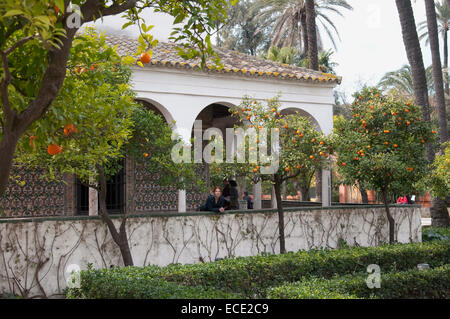 Voir d'Alcazar palace avec les gens d'arrière-plan, Séville, Andalousie, Espagne Banque D'Images