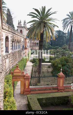 Voir d'Alcazar palace, Séville, Andalousie, Espagne Banque D'Images