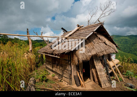 Paille simple cabane en bambou et des habitants de la montagne, dans Akka une rizière dans les montagnes, province de Phongsali, Laos Banque D'Images