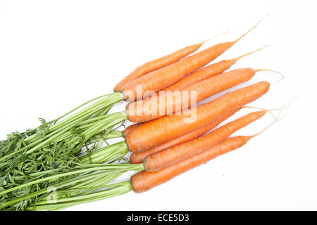 Bouquet de carottes sur fond blanc Banque D'Images