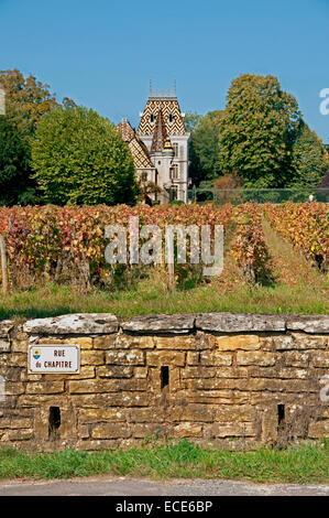 Aloxe Corton château Corton André wine vineyard winery vintage French France Bourgogne Banque D'Images