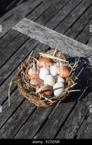 Oeufs frais de la ferme sur un lit de paille dans un panier Banque D'Images