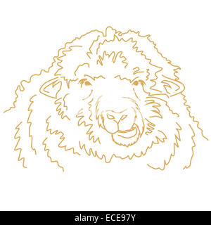 Funny sheep la mastication. Dessin vectoriel Banque D'Images