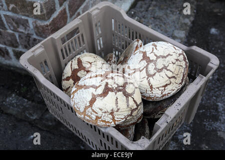 Du pain frais à la boulangerie, Backstube Lech Lech, Autriche. Le soda bread est fraîchement cuit au feu de bois. Banque D'Images