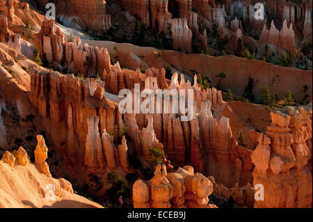 Formations rocheuses à Bryce Canyon, Utah, États-Unis Banque D'Images