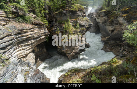 Le Canada, l'Alberta, Parc National de Jasper, Athabasca Falls Banque D'Images