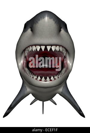 Dinosaure Megalodon bouche à fond blanc- 3D render Banque D'Images