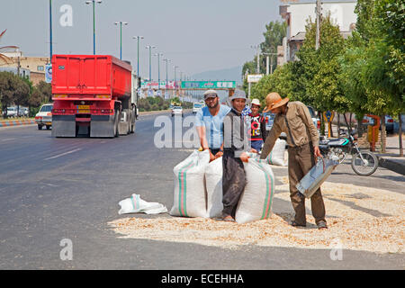 Les travailleurs iraniens le séchage graines sur la rue de la ville Azadshahr, Golestan Province, l'Iran Banque D'Images