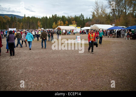 Adams River Salmon Run 2014 Banque D'Images