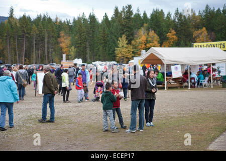 Adams River Salmon Run 2014 Banque D'Images