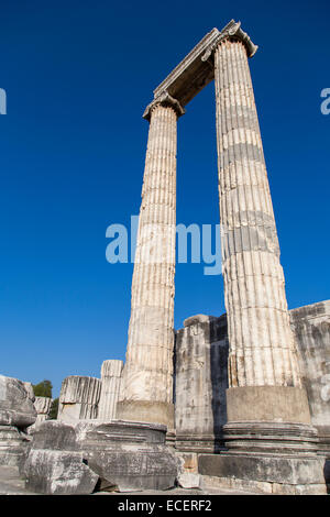 Temple d'Apollon colonnes de Didymes ville antique Didim Turquie 2014 Banque D'Images