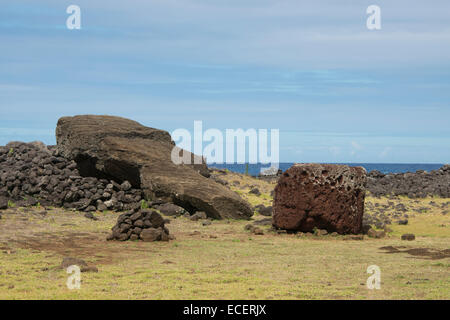 Le Chili, l'île de Pâques. Te Pito Kura, parc national de Rapa Nui. Le plus grand moai (plus de 70 tonnes, étendu face vers le bas) de la sculpture. Banque D'Images