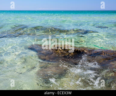 Plage de Baia Verde près de Gallipoli, Salento, Italie Banque D'Images