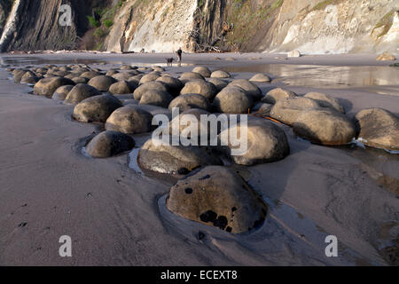 Concrétions de grès sphérique sur Bowling Ball Beach se trouvent dans le ravin du Schooner State Beach le long de la côte de Mendocino en Californie. Banque D'Images