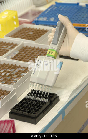 Chercheur utilise pipette in lab. Banque D'Images