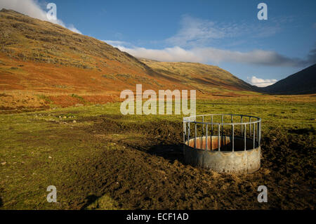 La vallée de Duddon dans le Parc National du Lake District, Cumbria Banque D'Images