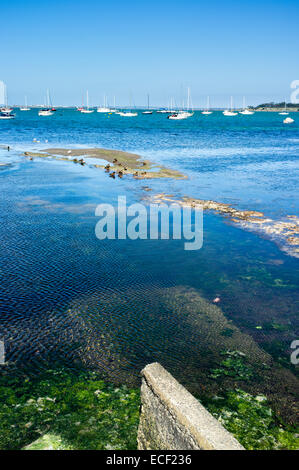 Geelong waterfront. Les oiseaux sur banc de sable. Format vertical. Banque D'Images