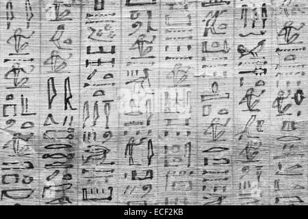 Détail de l'ancienne Livre des Morts (1070) de la C.-B., Thèbes - Égypte Banque D'Images