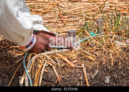 Homme de l'Uru en Bolivie montre comment les touristes afin de lier un bloc de la traditionnelle des îles de roseaux. Banque D'Images