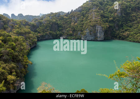 Vue du lac Emerald, un lac intérieur d'eau salée, à l'île de Koh Mae Ko à Ang Thong (Parc National Marin de Angthong) en Thaïlande Banque D'Images