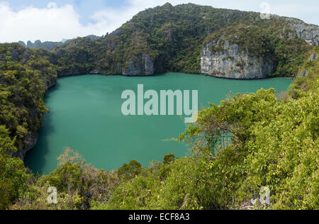 Vue panoramique du lac Emerald, à l'île de Koh Mae Ko à Ang Thong (Parc National Marin de Angthong) en Thaïlande Banque D'Images