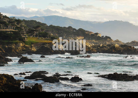 Côte du Pacifique le long de la péninsule de Monterey, Californie Banque D'Images