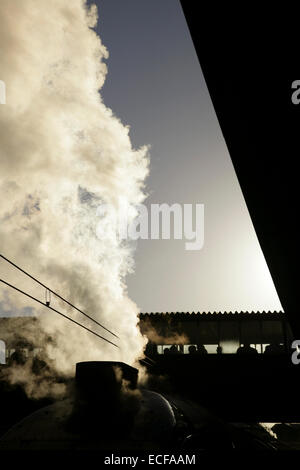 La gare de York, Royaume-Uni, 13 décembre 2014. LNER simplifié une locomotive à vapeur classe4 '4464' du Petit Blongios, soeur de locomotive, le 'Mallard', se situe à la plate-forme après le transport de la "White Rose de Noël' tour de Londres King's Cross à New York. Crédit : david soulsby/Alamy Live News Banque D'Images