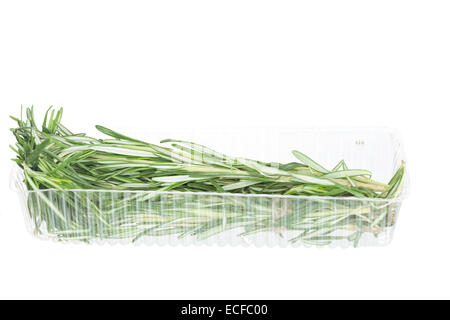 Romarin frais se trouve dans un bac en plastique transparent Banque D'Images