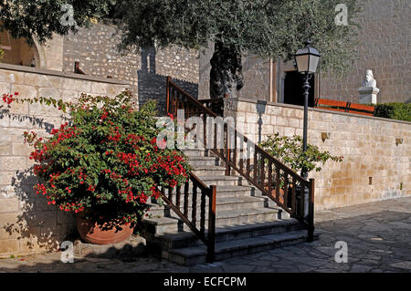 Les jardins du monastère d'Agios Neofytos Paphos Banque D'Images