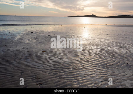 Plage basse Newton au lever du soleil, Northumberland, Angleterre, avec Château de Dunstanburgh derrière. Banque D'Images