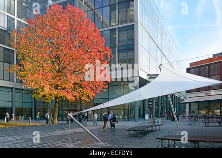Développement moderne de bureau et scène de rue dans les champs Spitalfields de la place des Evêques avec des couleurs d'automne sur arbre sur la journée automnale humide City of London Angleterre UK Banque D'Images
