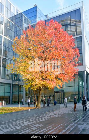 People & Modern Office Block Building développement dans Bishops Square Spitalfields automne couleurs sur arbre dans humide automnal City of London Angleterre Royaume-Uni Banque D'Images
