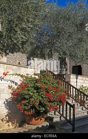 Les jardins du monastère d'Agios Neofytos Paphos Banque D'Images