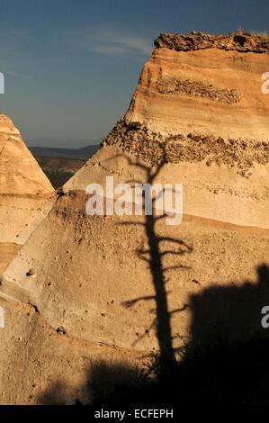 L'ombre des arbres sur les cendres volcaniques comprimé Kasha-Katuwe Tent Rocks Nouveau Mexique - USA Banque D'Images