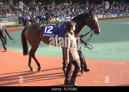 Aichi, Japon. 7 Décembre, 2014. Les Courses de Chevaux de Légende romaine : Légendes romaines est conduit dans le paddock avant la Coupe des Champions à Chukyo Racecourse à Aichi, Japon . © Eiichi Yamane/AFLO/Alamy Live News Banque D'Images