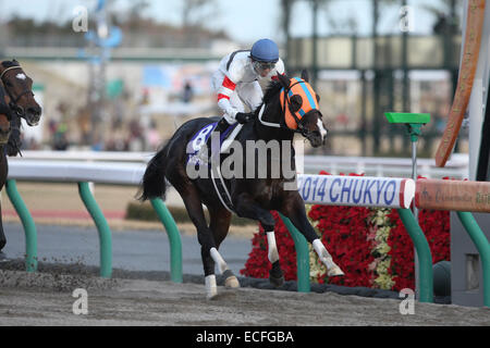 Aichi, Japon. 7 Décembre, 2014. Tarumae Hokko (Hideaki Miyuki) les courses de chevaux : Hokko Tarumae monté par Hideaki Miyuki remporte la Coupe des Champions à Chukyo Racecourse à Aichi, Japon . © Eiichi Yamane/AFLO/Alamy Live News Banque D'Images